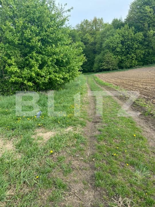 Teren de vânzare Calafindesti - 139445TV | BLITZ Suceava | Poza3