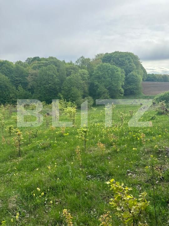 Teren de vânzare Calafindesti - 139445TV | BLITZ Suceava | Poza4