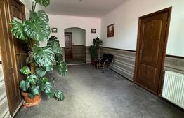 Afacere la cheie in  Siret! Pensiune, sala evenimente, restaurant cu crama