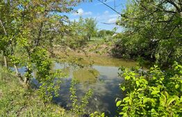 Teren  19000mp , iaz -120mp,  Botosanita, Siret