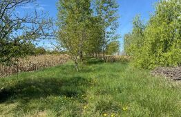 Teren  19000mp , iaz -120mp,  Botosanita, Siret