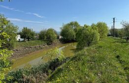 Teren  19000mp , iaz -120mp,  Botosanita, Siret