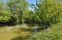 Teren  19000mp , iaz -120mp,  Botosanita, Siret