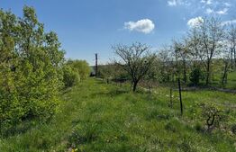 Teren  19000mp , iaz -120mp,  Botosanita, Siret