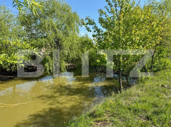 Teren de vânzare Botosanita Mare - 139489TV | BLITZ Suceava | Poza4