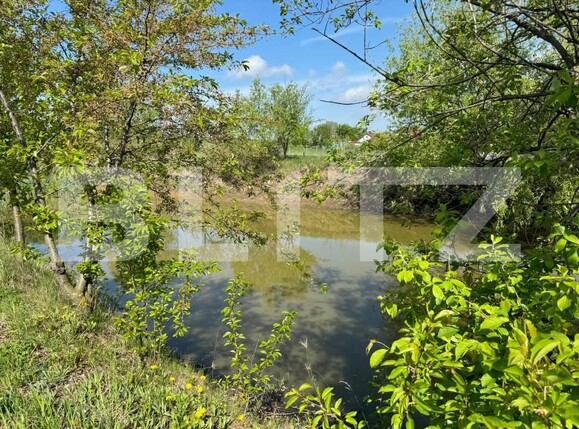 Teren de vânzare Botosanita Mare - 139489TV | BLITZ Suceava | Poza1