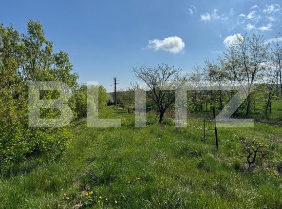 Teren de vânzare Botosanita Mare - 139489TV | BLITZ Suceava | Poza7