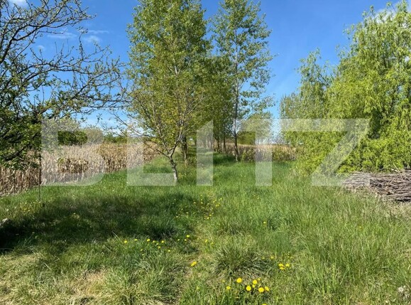 Teren de vânzare Botosanita Mare - 139489TV | BLITZ Suceava | Poza3