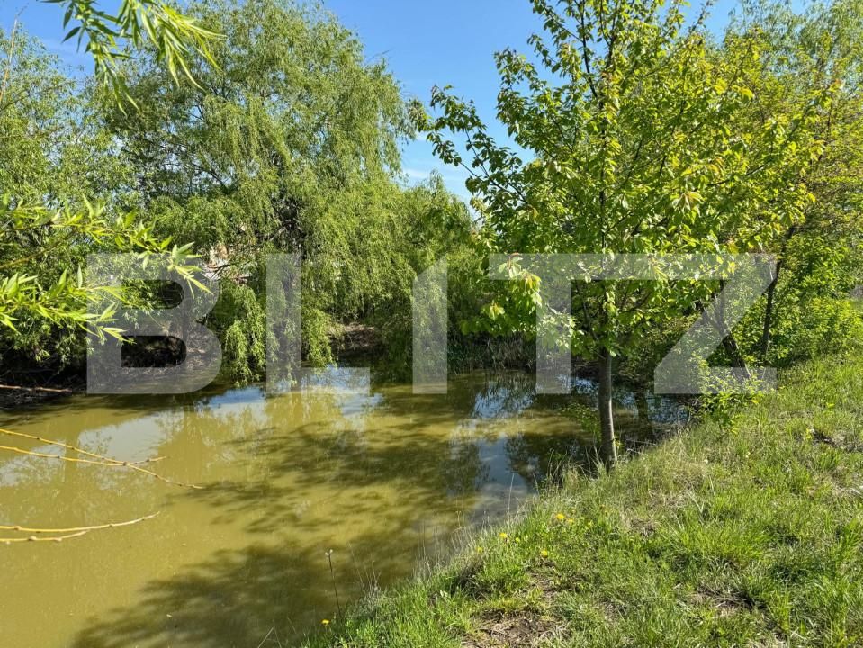 Teren de vânzare Botosanita Mare - 139489TV | BLITZ Suceava | Poza4