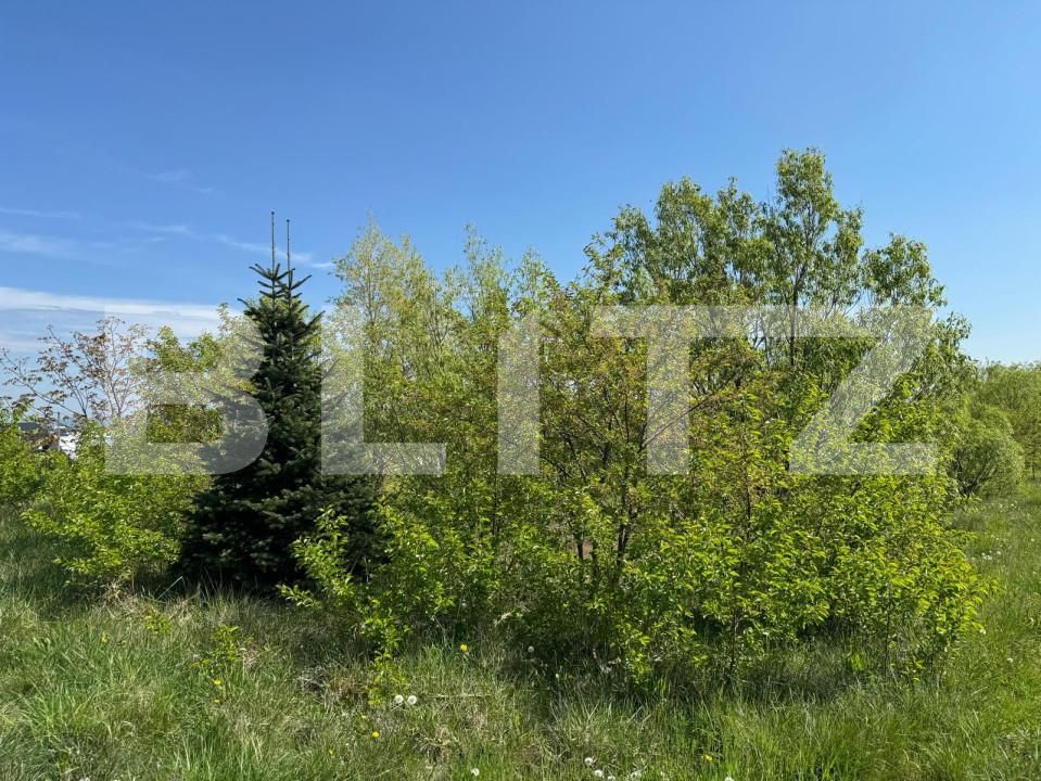 Teren de vânzare Botosanita Mare - 139489TV | BLITZ Suceava | Poza5