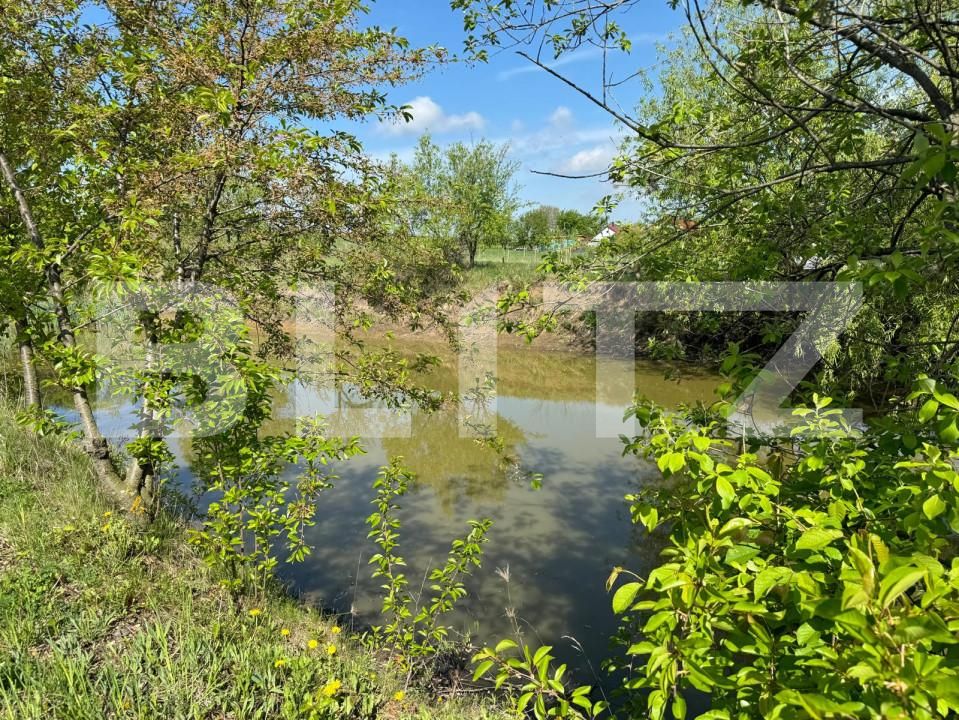 Teren de vânzare Botosanita Mare - 139489TV | BLITZ Suceava | Poza1