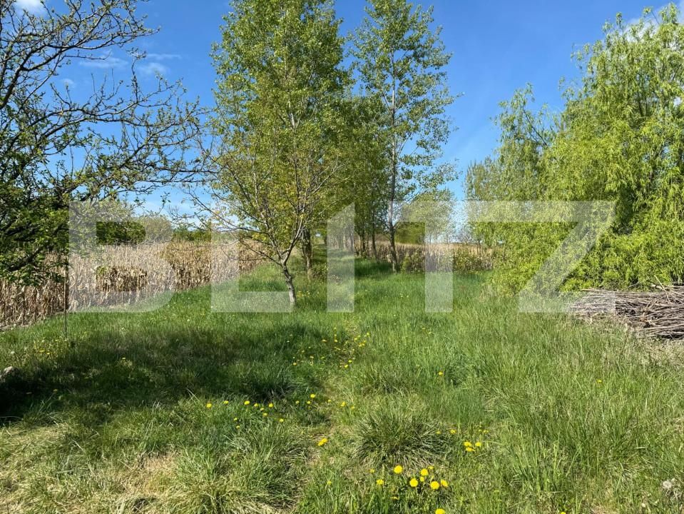 Teren de vânzare Botosanita Mare - 139489TV | BLITZ Suceava | Poza3