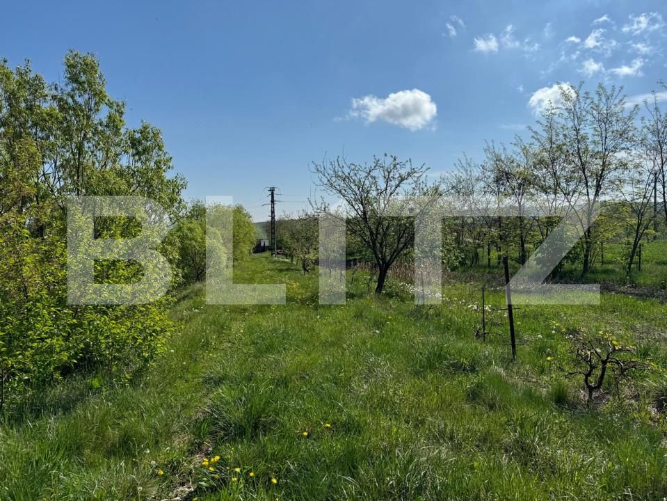 Teren de vânzare Botosanita Mare - 139489TV | BLITZ Suceava | Poza7