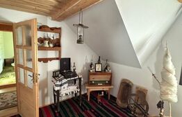 Ocazie unica! Cabana 200 mp utili, teren 800 mp, Ilisesti