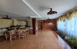 Ocazie unica! Cabana 200 mp utili, teren 800 mp, Ilisesti