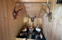 Ocazie unica! Cabana 200 mp utili, teren 800 mp, Ilisesti