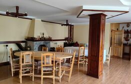 Ocazie unica! Cabana 200 mp utili, teren 800 mp, Ilisesti