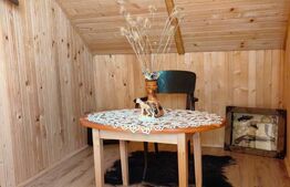 Ocazie unica! Cabana 200 mp utili, teren 800 mp, Ilisesti