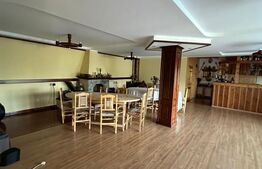 Ocazie unica! Cabana 200 mp utili, teren 800 mp, Ilisesti