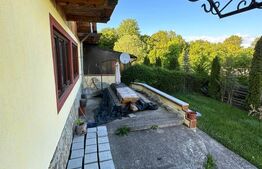 Ocazie unica! Cabana 200 mp utili, teren 800 mp, Ilisesti