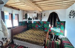 Ocazie unica! Cabana 200 mp utili, teren 800 mp, Ilisesti