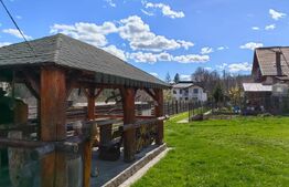 Ocazie unica! Cabana 200 mp utili, teren 800 mp, Ilisesti