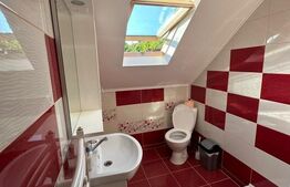 Ocazie unica! Cabana 200 mp utili, teren 800 mp, Ilisesti