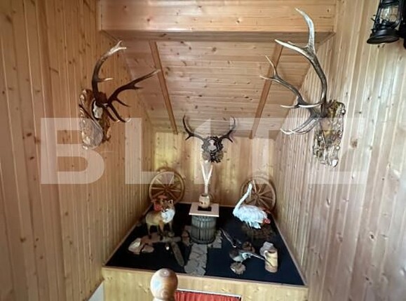 Spațiu comercial de vânzare Nord Est - 139511SVC | BLITZ Suceava | Poza16