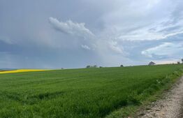 Teren intravilan, 1000 mp, Frumoasa