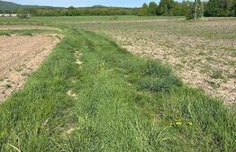 Teren extravilan,6800 mp, zona Clit, Radauti