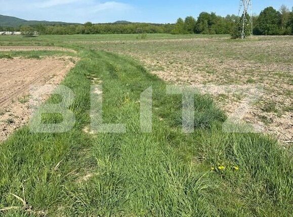 Teren de vânzare Radauti - 139674TV | BLITZ Suceava | Poza2