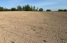 Teren extravilan, 3300 mp, zona Arbore, Radauti