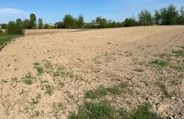 Teren extravilan, 3300 mp, zona Arbore, Radauti