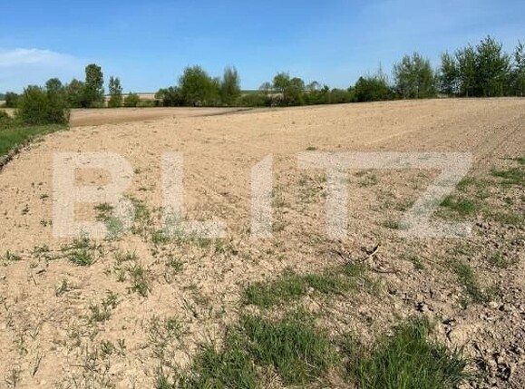 Teren de vânzare Radauti - 139675TV | BLITZ Suceava | Poza2