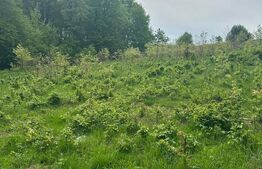 Teren pretabil constructie casa, hala langa centura, Radauti