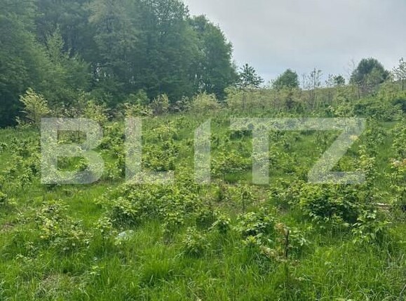 Teren de vânzare Horodnic - 139998TV | BLITZ Suceava | Poza2