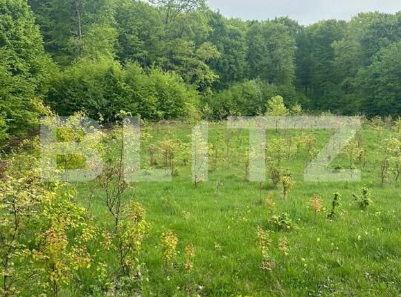 Teren de vânzare Horodnic - 139998TV | BLITZ Suceava | Poza1