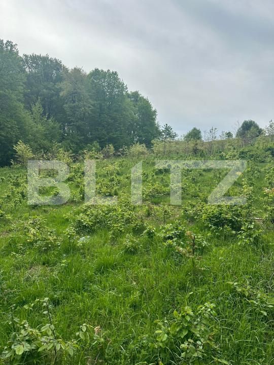 Teren de vânzare Horodnic - 139998TV | BLITZ Suceava | Poza2