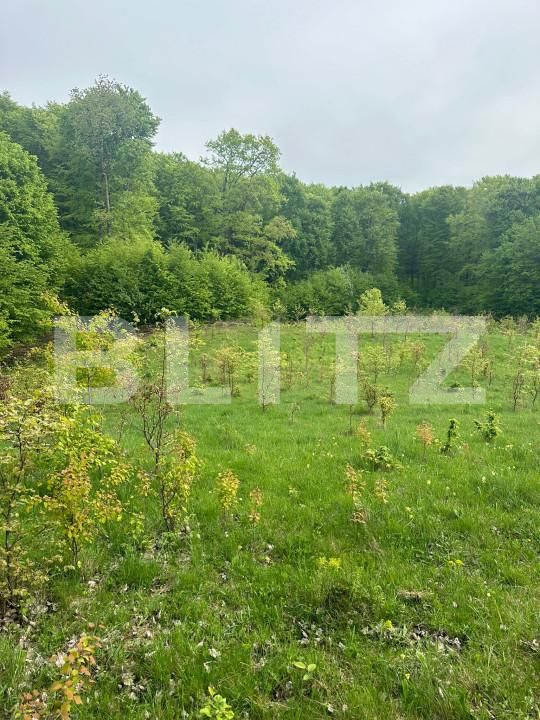 Teren de vânzare Horodnic - 139998TV | BLITZ Suceava | Poza1