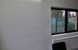 Spatiu comercial 27mp, zona Universitatii