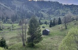 Teren extravilan situat in Iacobeni de 4.666 mp