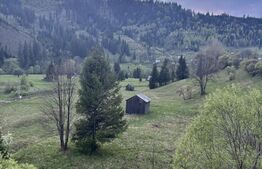 Teren extravilan situat in Iacobeni de 4.666 mp