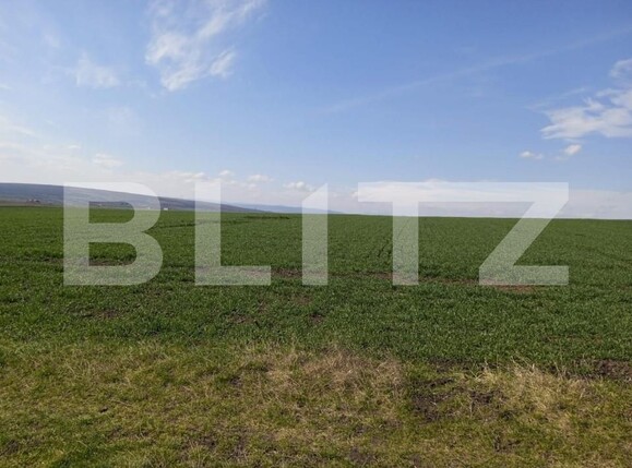 Teren de vânzare Exterior Sud - 140992TV | BLITZ Suceava | Poza2