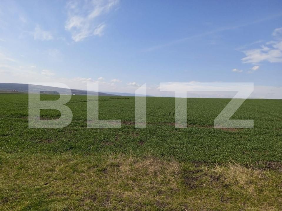 Teren de vânzare Exterior Sud - 140992TV | BLITZ Suceava | Poza2