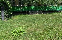 Casa batraneasca, 80mp, zona Todiresti