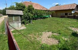 Casa batraneasca, 80mp, zona Todiresti