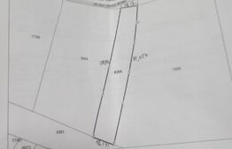 Teren Intravilan 989mp si Extravilan 7453mp, Manastirea Humorului