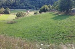 Teren Intravilan 989mp si Extravilan 7453mp, Manastirea Humorului