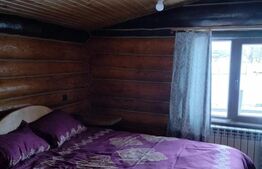 Cabană în zona de munte