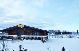 Cabană în zona de munte